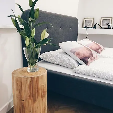 Apartamenty Rajcza * Райча