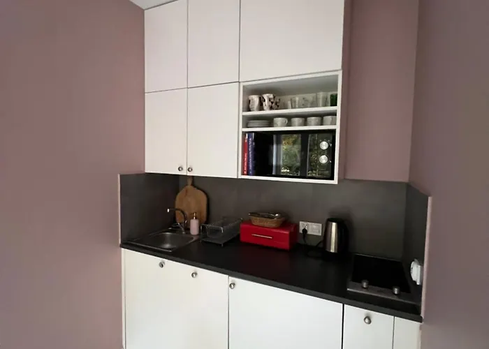 Apartamenty Rajcza * רייצ'ה